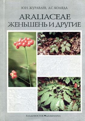 Araliaceae: женьшень и другие