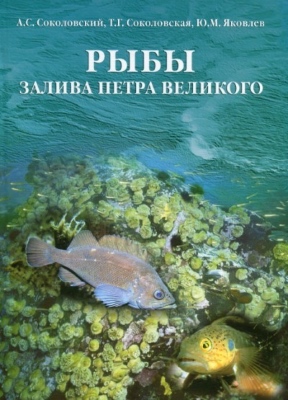 Рыбы залива Петра Великого