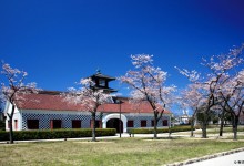 Ниигата (Niigata, Japan)-2